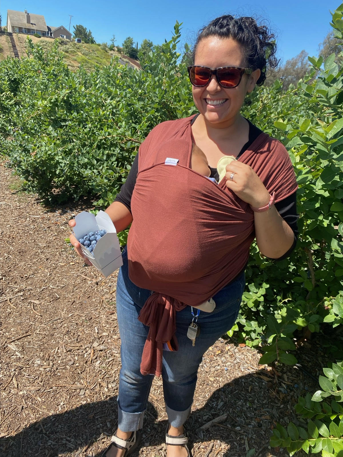 woman with baby wrap in a blueberry field with a box of blueberries in her hand.